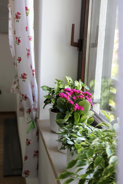 Lake House Apartment Медводе Екстериор снимка