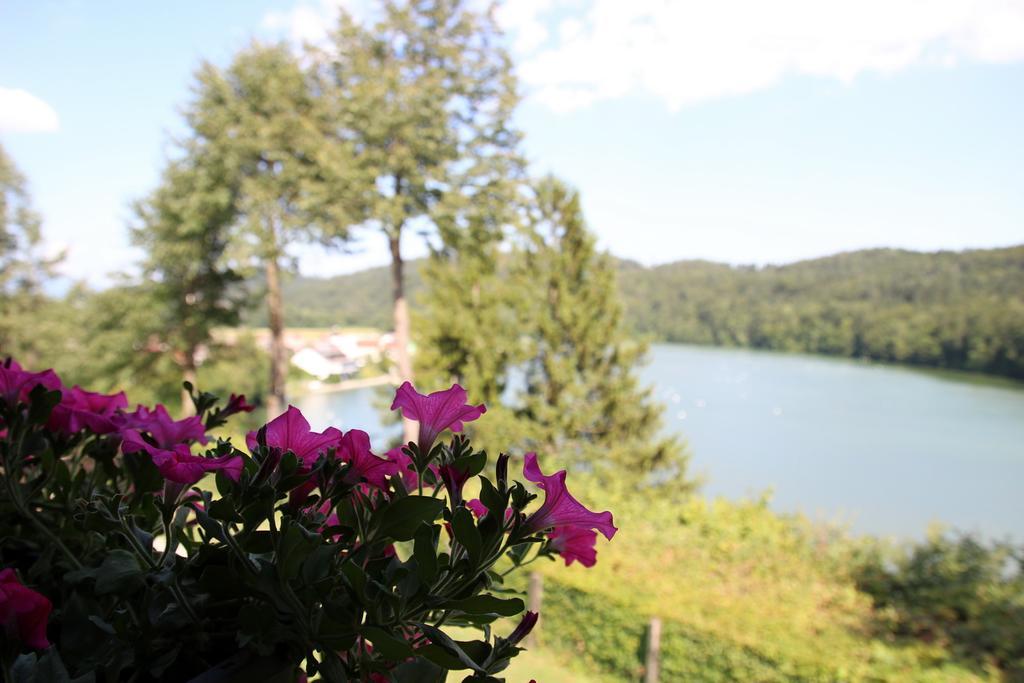 Lake House Apartment Медводе Екстериор снимка