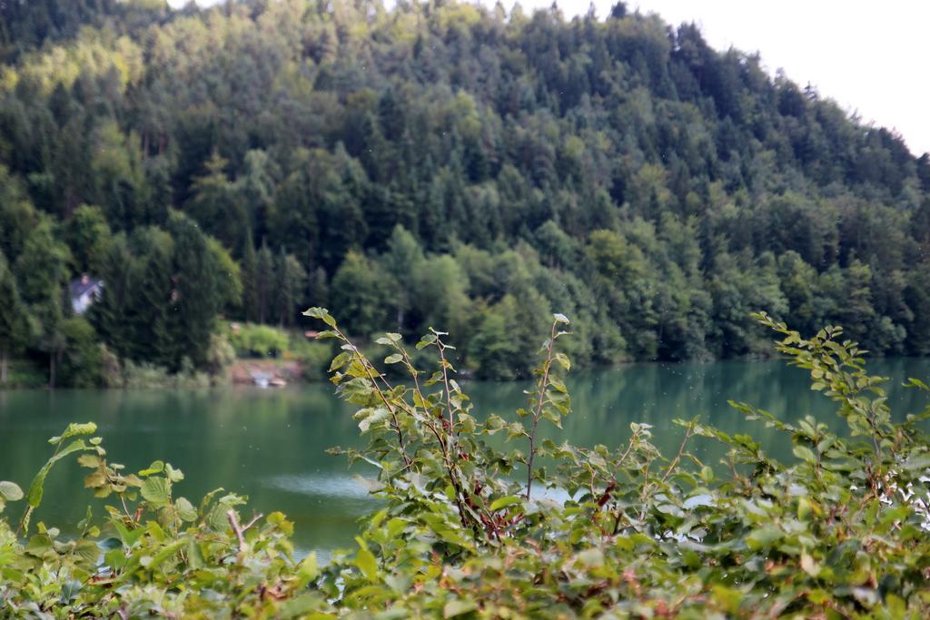 Lake House Apartment Медводе Екстериор снимка
