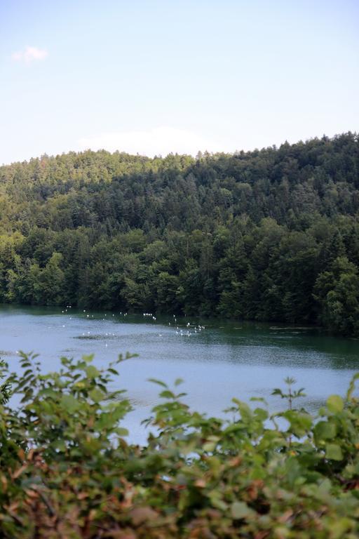 Lake House Apartment Медводе Екстериор снимка